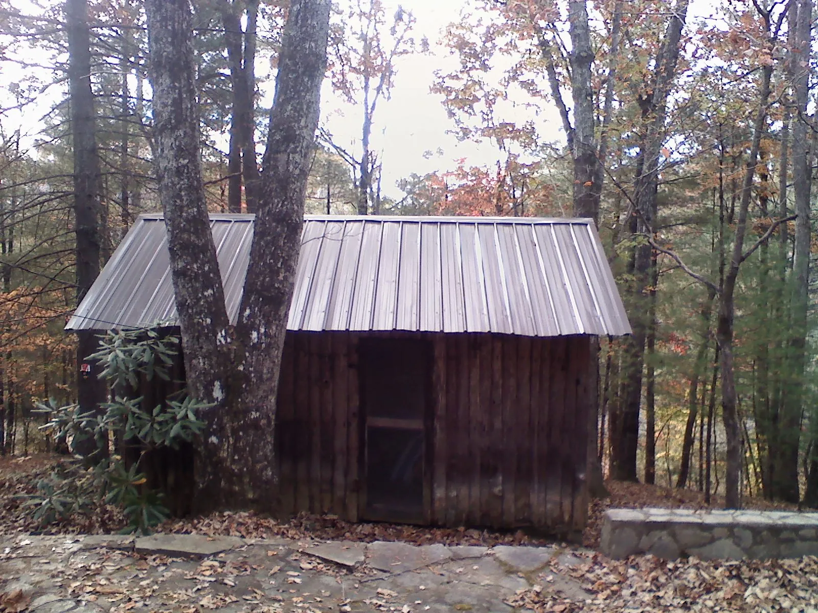 New metal gable roof on a small log shed among the trees in Breckenridge